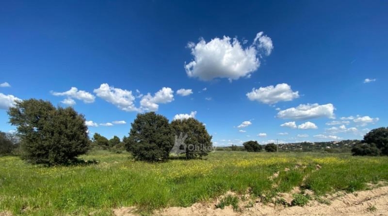 Community of Madrid - Villa del Prado - 69290m2