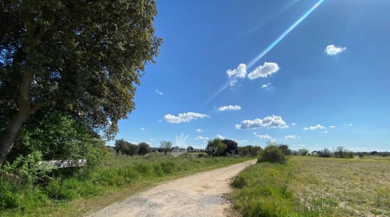Community of Madrid - Villa del Prado - 69290m2