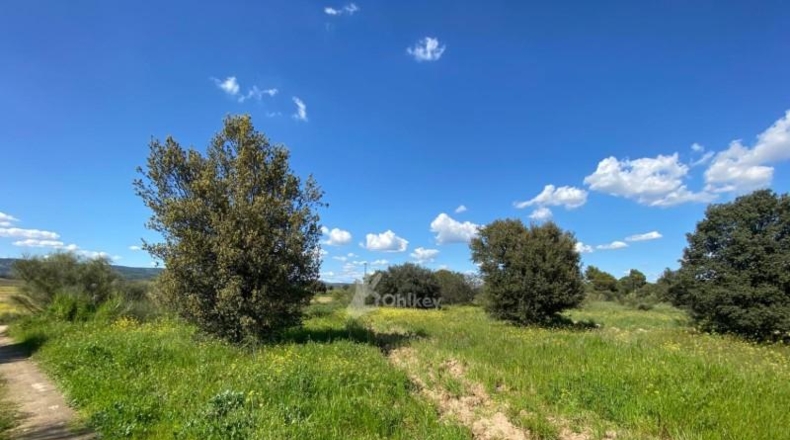 Community of Madrid - Villa del Prado - 69290m2