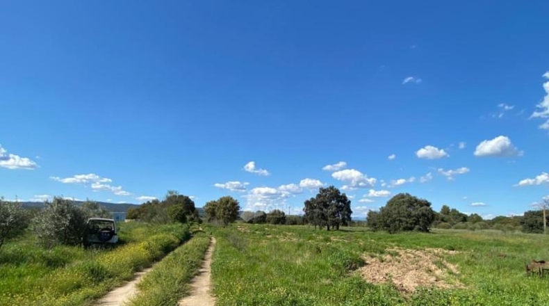 Community of Madrid - Villa del Prado - 69290m2