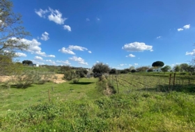 Villa del Prado 69290&nbsp;m² 