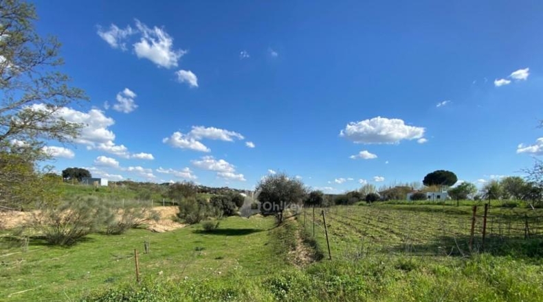 Community of Madrid - Villa del Prado - 69290m2