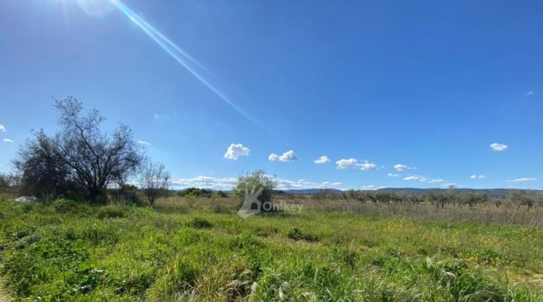 Community of Madrid - Villa del Prado - 69290m2