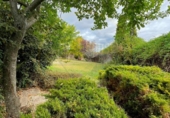 Detached villa with land for sale on España, Villalba de la Sierra, ref: TR343100 photo