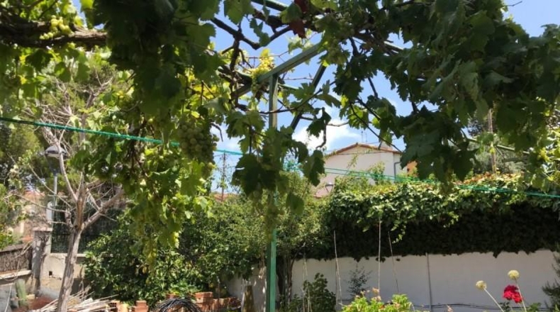 Tarragona - Calafell - 520m2