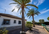 Finca rústica en venda a la España, Torre-Pacheco, ref.: TR301327 foto