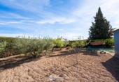 Finca rústica en venda a la España, Torre-Pacheco, ref.: TR301327 foto