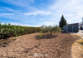 Finca rústica en venda a la España, Torre-Pacheco, ref.: TR301327 foto