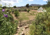 Xalet independent amb terreny en venda a la España, Albatera, ref.: TR133995 foto