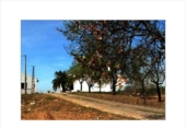 Xalet independent amb terreny en venda a la España, Lucena, ref.: TR194564 foto