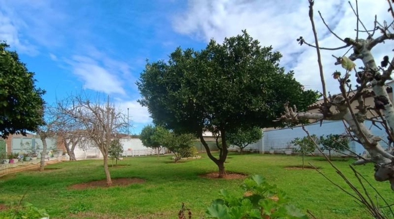 Cádiz - Chiclana de la Frontera - 293m2