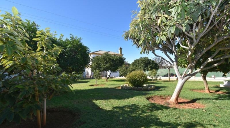 Cadiz - Chiclana de la Frontera - 1077m2