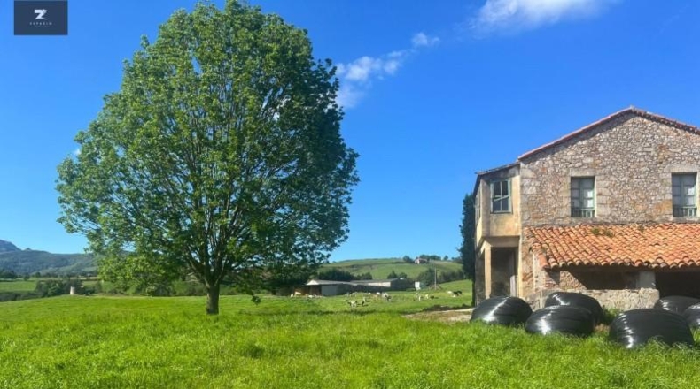 Cantabria - Liérganes - 40680m2
