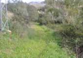 Terreny no urbanitzable en venda a la España, Alhaurín el Grande, ref.: TR224015 foto