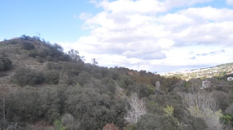Malaga - Alhaurín el Grande - 22950m2