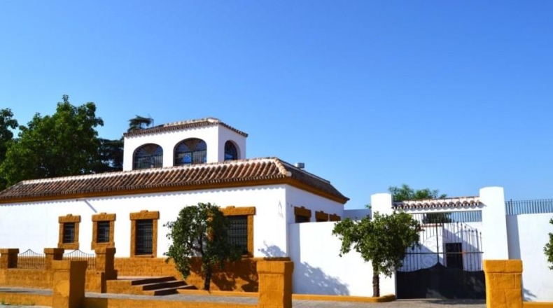 Sevilla - Sanlúcar la Mayor - 350m2