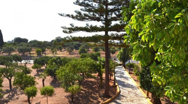 Sevilla - Sanlúcar la Mayor - 350m2