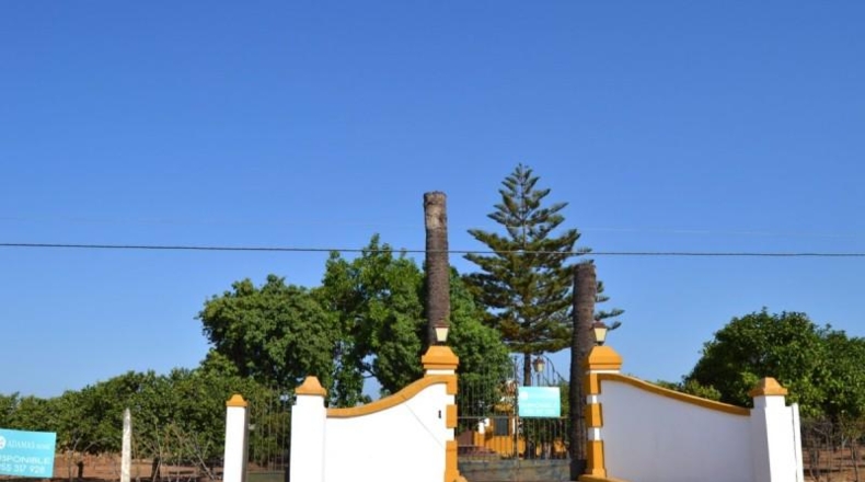 Sevilla - Sanlúcar la Mayor - 350m2