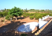Xalet independent amb terreny en venda a la España, Sanlúcar la Mayor, ref.: TR373977 foto