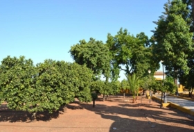 Foto 13