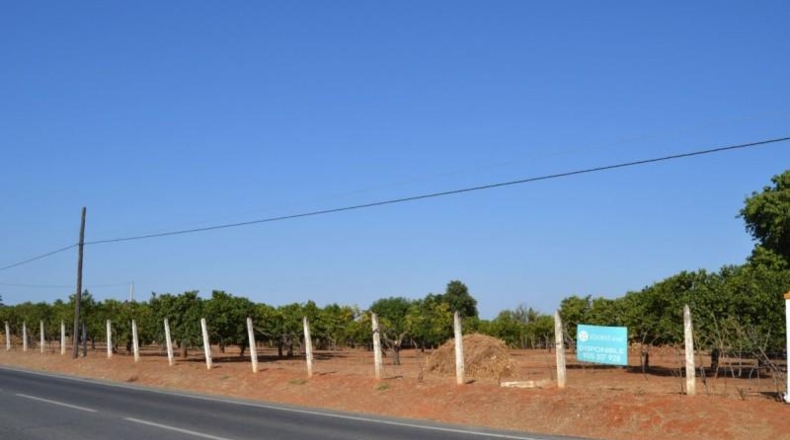 Sevilla - Sanlúcar la Mayor - 350m2