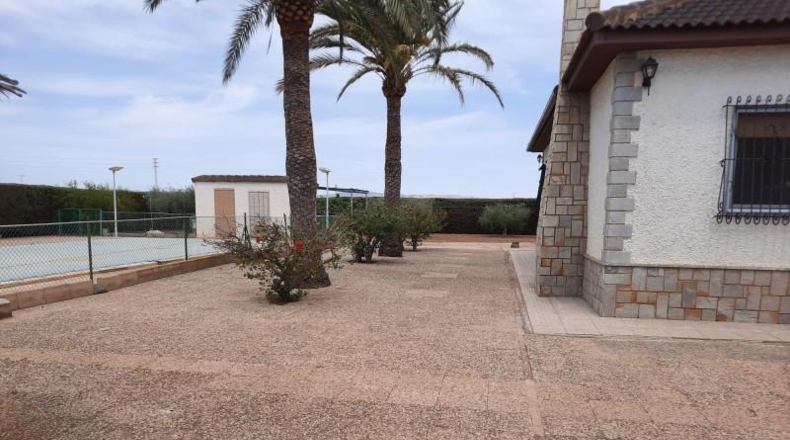 Murcia - Torre-Pacheco - 255m2