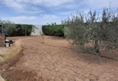 Chalet independiente con terreno en venta en la España, Torre-Pacheco, ref: TR380947 foto