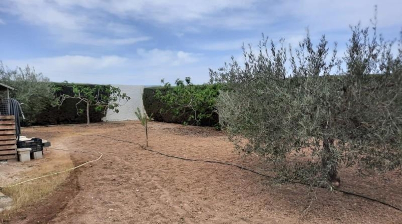 Murcia - Torre-Pacheco - 255m2