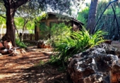Xalet independent amb terreny en venda a la España, l'Alcora, ref.: TR381617 foto