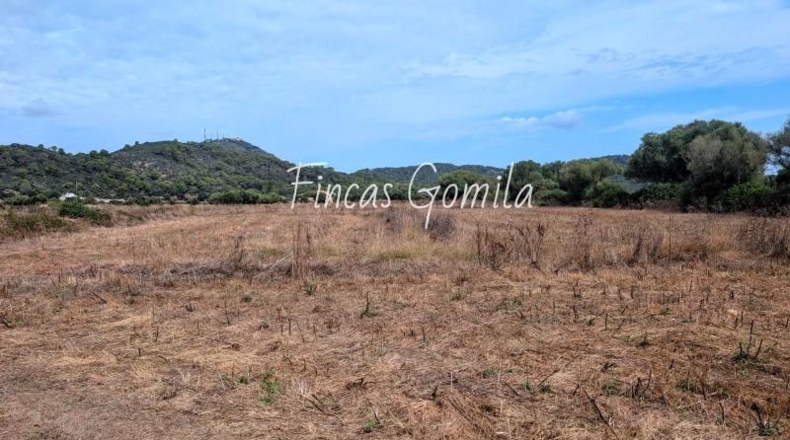 Balearic Islands - Сон Парк - 60292m2
