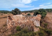 Casa amb terreny en venda a la España, es Mercadal, ref.: TR349129 foto