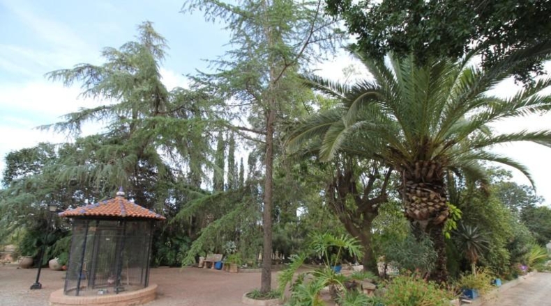 Murcia - Totana - 7000m2