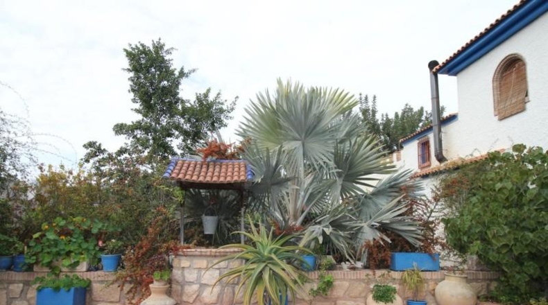 Murcia - Totana - 7000m2
