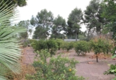 Xalet independent amb terreny en venda a la España, Totana, ref.: TR366038 foto