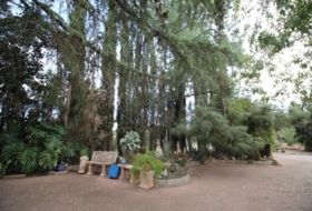 Foto 15