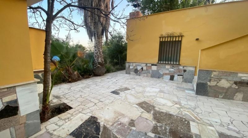 Alicante - Dolores - 4000m2