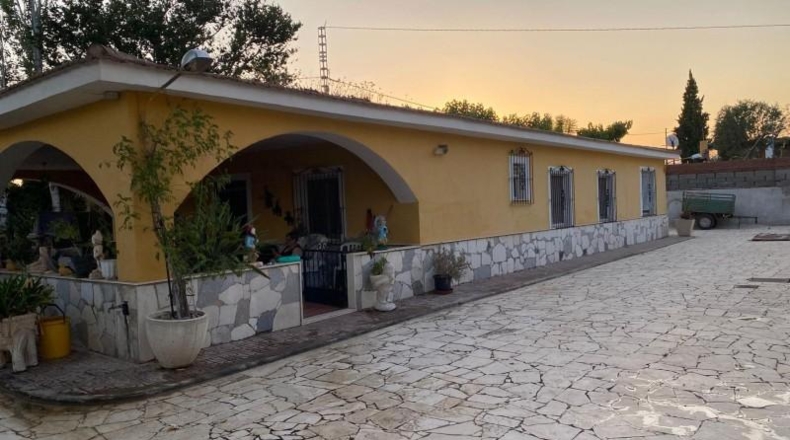 Alicante - Dolores - 4000m2