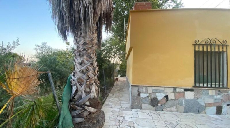 Alicante - Dolores - 4000m2