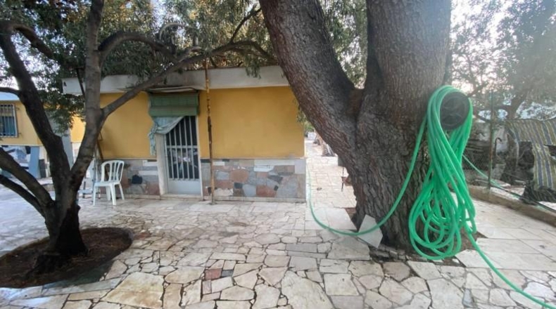 Alicante - Dolores - 4000m2