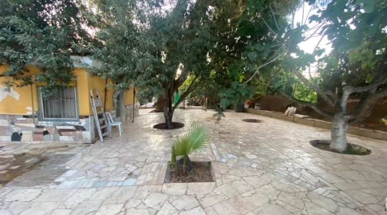 Alicante - Dolores - 4000m2