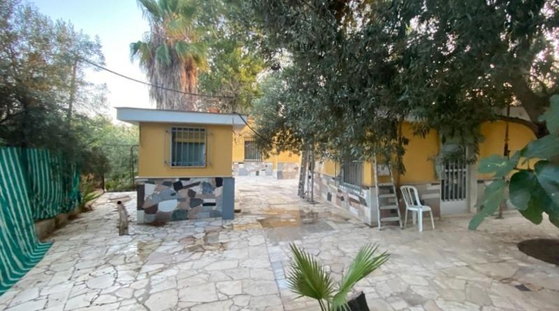 Alicante - Dolores - 4000m2