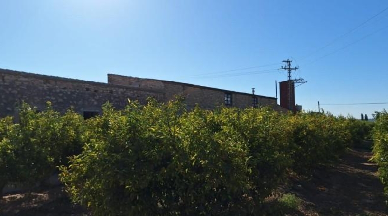 València - Quart de Poblet - 2186m2