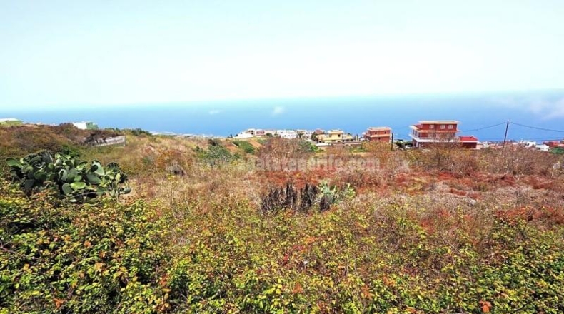 Santa Cruz de Tenerife - San Juan de la Rambla - 13316m2