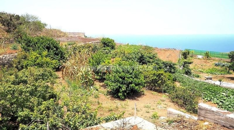 Santa Cruz de Tenerife - San Juan de la Rambla - 13316m2
