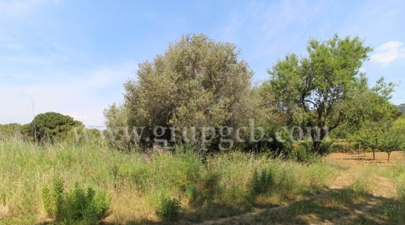Gerona - Lloret de Mar - 26165m2