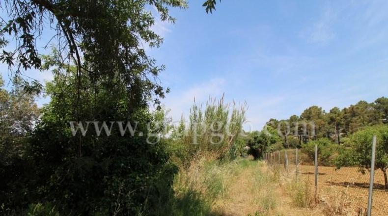 Gerona - Lloret de Mar - 26165m2