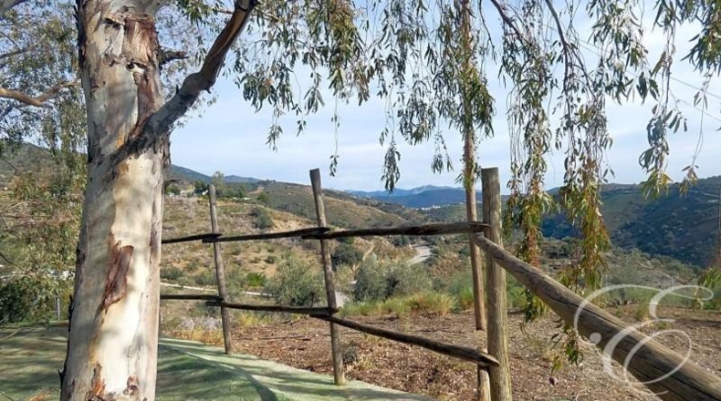 Málaga - Sedella - 55360m2