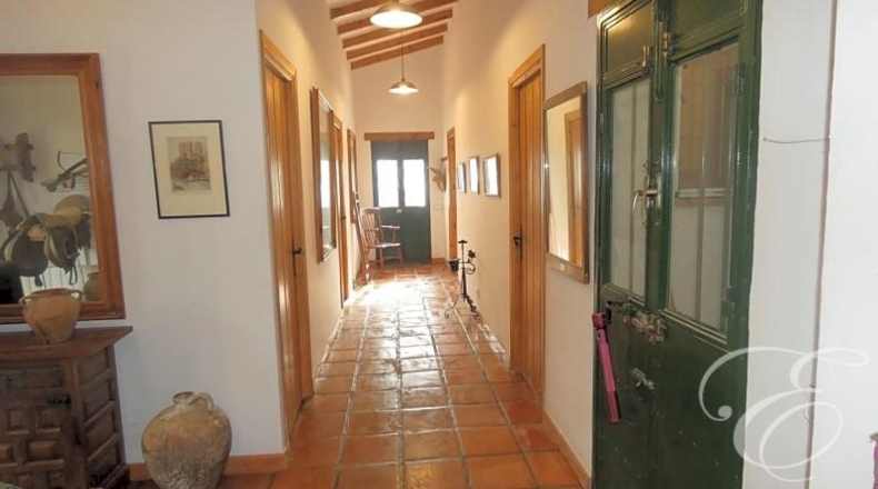 Málaga - Sedella - 55360m2