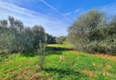 Casa de camp amb terreny en venda a la España, Sineu, ref.: TR158662 foto