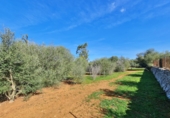 Casa de camp amb terreny en venda a la España, Sineu, ref.: TR158662 foto